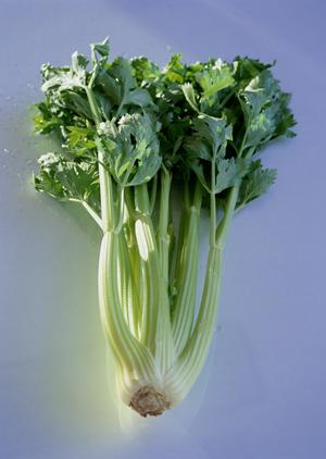 豪華な店内で安心できるホストクラブ