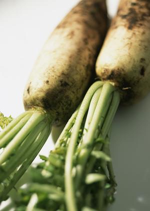 業界の地位向上を目指すためのS．P．L